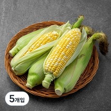 ◀ 2024년 실사용 추천 후기▶ 초당옥수수 인기 제품 리스트 9