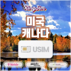 Must Have Item 캐나다유심 최저가 상품 리스트 5