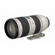 놓치면 후회할 캐논ef70-200 추천 상품 탑 9