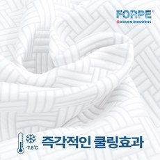 지금 당장 봐야할 코지네스트냉감패드 인기 정보 상위 9