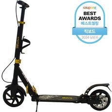 Must Have Item 킥보드 추천 정보 상위 9