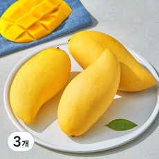 지금 당장 봐야할 태국 망고 추천 정보 리스트 5