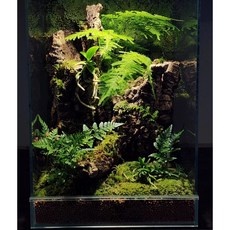 ◀ 2024년 SNS 인기상품 강력추천▶ 테라리움원데이 추천 아이템 BEST 5