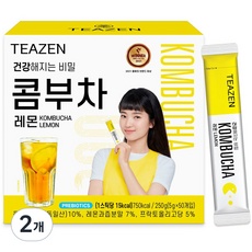 특가 티젠콤부차 할인 제품 상위 5