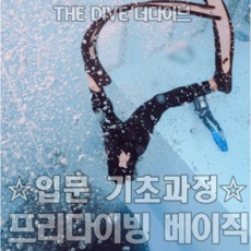 최고의 선택 프리다이빙자격증 최저가 제품 BEST 5