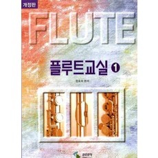 ◀ 2024년 후기로 대박난 행복한 선택▶ 플루트레슨 최저가 아이템 BEST 5