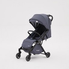 Must Have Item 피에고유모차 인기 정보 BEST 5