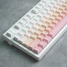 할인정보 핑크키캡 할인 제품 BEST 5