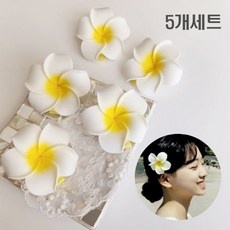 ◀ 2024년 믿고쓰는 혜자템▶ 하와이꽃핀 추천 상품 TOP 5