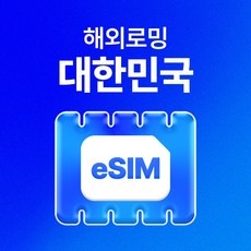 ◀ 2024년 내돈내산 SNS 인기상품▶ 한국이심 인기 상품 탑 5