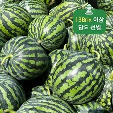 특가 함안수박 인기 정보 상위 9