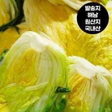 ◀ 2024년 SNS 인기상품 강력추천▶ 해남절임배추 인기 상품 BEST 9