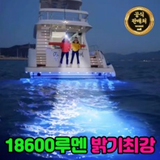 ◀ 2024년 실사용 인플들이 추천하는▶ 해루질랜턴 할인 아이템 리스트 9