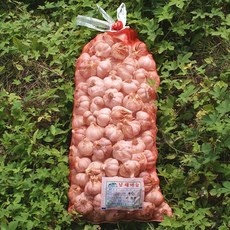 ◀ 2024년 너무 갖고싶은 가성비템▶ 햇마늘 할인 아이템 리스트 5