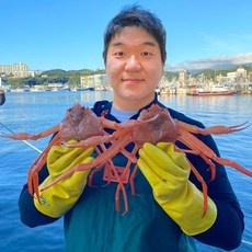 ◀ 2024년 실사용 가성비가 너무 좋아요▶ 홑게 최저가 제품 베스트 5