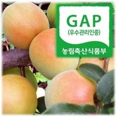 ◀ 2024년 인플들이 추천하는 가성비▶ 황매실 최저가 아이템 BEST 9