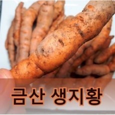 ◀ 2024년 실사용 추천 후기▶ 황복가격 인기 제품 BEST 5