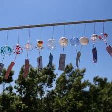 ◀ 2024년 실제 후기도 평이 좋네요▶ 후우링 추천 정보 탑 9