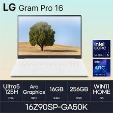 ◀ 2024년 내돈내산 SNS 인기상품▶ 16z90sp-ga50k 추천 아이템 상위 9