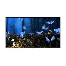 경제적인 oled65b2kna 할인 아이템 TOP 9