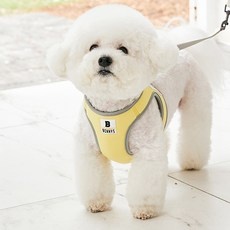 특가로 득템한 제품이에요. 강아지전용가슴줄 할인 제품 상위 9