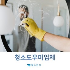 ◀ 2024년 내돈내산 SNS 인기상품▶ 거주청소업체 할인 제품 베스트 5