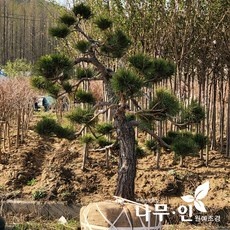 강추합니다, 정말 좋아요. 공수목 최저가 상품 탑 9 강추합니다, 정말 좋아요. 공수목 최저가 상품 탑 9