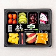 세일 기간에 샀어요, 정말 잘 샀어요. 과일도시락 최저가 아이템 TOP 9