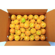 다시 구매할 예정입니다, 너무 좋아요. 귤 인기 아이템 탑 9