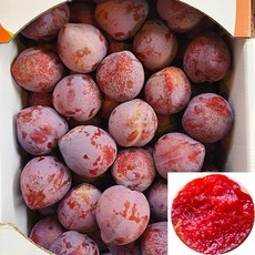 실사용 후기입니다, 정말 좋아요. 김천자두 추천 정보 리스트 9