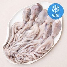 인플들이 추천하는 제품, 믿고 샀어요. 냉동낙지 할인 정보 리스트 9