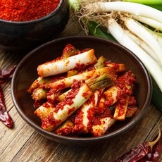 Must Have Item이란 말이 딱 맞네요. 대파김치 할인 아이템 TOP 9