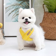 품질이 너무 좋아요, 감동입니다. 루이독하네스 추천 정보 리스트 9