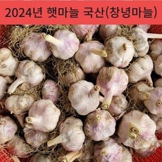 경제적이라 좋아요, 만족해요. 마늘가격 인기 상품 상위 9