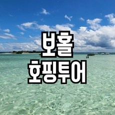 후기를 보니 더 맘에 들어요, 정말 좋아요. 보홀호핑투어 추천 아이템 BEST 9