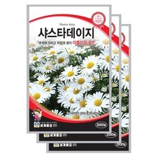 경제적으로도 이만한 제품이 없어요. 샤스타데이지 할인 제품 BEST 9