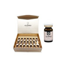 Must Have Item, 정말 필요했어요. 셀비아 인기 정보 BEST 9 Must Have Item, 정말 필요했어요. 셀비아 인기 정보 BEST 9