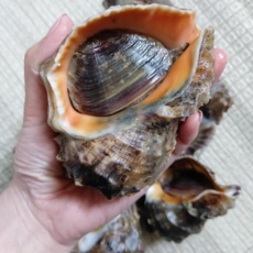 잘 샀어요, 후회 없어요. 소라 할인 정보 리스트 9
