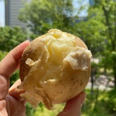 친구들에게도 추천할게요, 다들 만족해요. 수미감자10kg 최저가 정보 탑 9