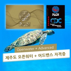 ◀ 2024년 너무 갖고싶은 가성비템▶ 스쿠버다이빙강습 인기 상품 BEST 9