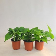 고민하다가 샀는데 정말 잘한 선택이에요. 스킨답서스 최저가 정보 탑 9