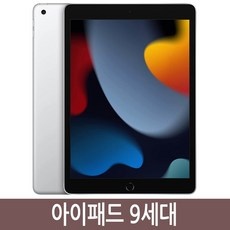 ◀ 2024년 너무 갖고싶은 가성비템▶ 아이패드9세대셀룰러 추천 정보 리스트 9