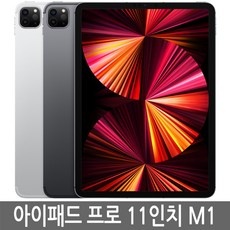 최고의 선택이었어요, 후회 없어요. 아이패드프로11형3세대 최저가 상품 리스트 9