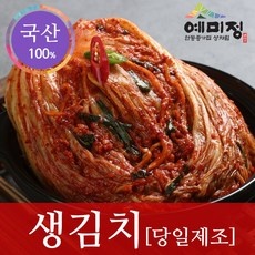 세일 예미정김치 추천 정보 리스트 9