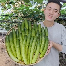 실사용 후기가 너무 좋아요, 믿고 샀어요. 오이지오이50개 할인 아이템 상위 5