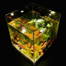 ◀ 2024년 후기로 대박난 행복한 선택▶ 원스팜 인기 상품 TOP 5