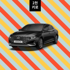 ◀ 2024년 내돈내산 실사용 강추후기▶ 자동차월렌트 인기 제품 탑 9