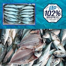 Must Have Item 전갱이 최저가 아이템 탑 9