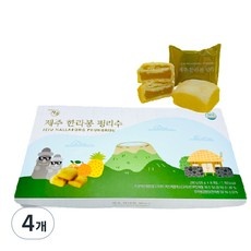 할인정보 제주도머스탱렌트 할인 아이템 탑 5