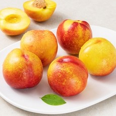 Must Have Item 천도복숭아 할인 아이템 베스트 5 Must Have Item 천도복숭아 할인 아이템 베스트 5
